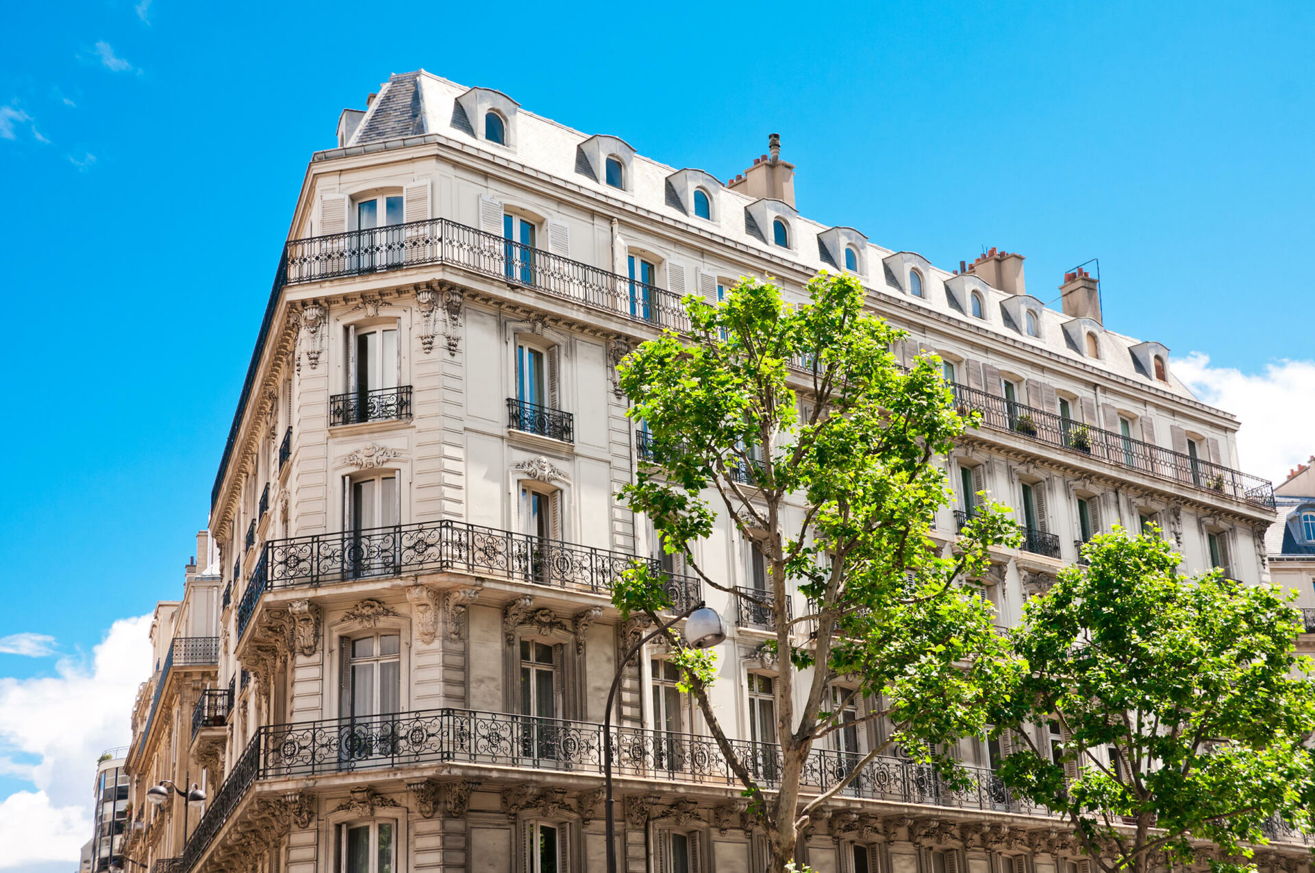 Victoire Immobilier - Lyon - Jeean mace